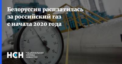 Александр Новак - Белоруссия расплатилась за российский газ с начала 2020 года - nsn.fm - Россия - Белоруссия