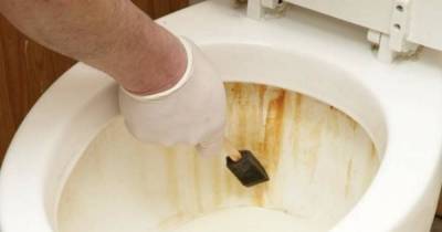 Как избавиться от ржавчины в унитазе средствами, которые справятся не хуже, чем туалетный «утенок» - skuke.net