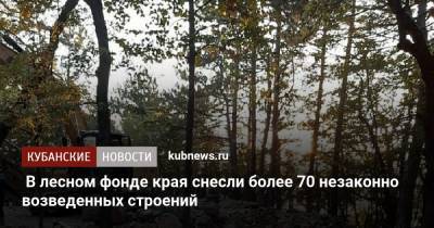 Вениамин Кондратьев - В лесном фонде края снесли более 70 незаконно возведенных строений - kubnews.ru - Краснодарский край - Геленджик