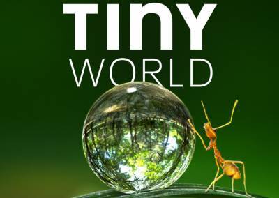 Джейсон Судейкис - Дэвид Аттенборо - Рецензия на документальный сериал о природе Tiny World / «Крошечный мир» - itc.ua