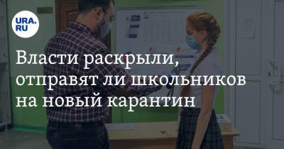 Сергей Кравцов - Власти раскрыли, отправят ли школьников на новый карантин - ura.news - Россия