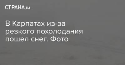 Наталья Диденко - В Карпатах из-за резкого похолодания пошел снег. Фото - strana.ua - Украина