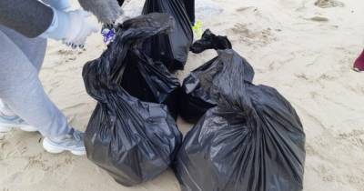 Ольга Большакова - На Куршской косе волонтёры очистили от мусора 13 км побережья (фото) - klops.ru - Зеленоградск