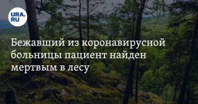 Александр Шульга - Бежавший из коронавирусной больницы пациент найден мертвым в лесу - ura.news - Свердловская обл. - окр. Янао