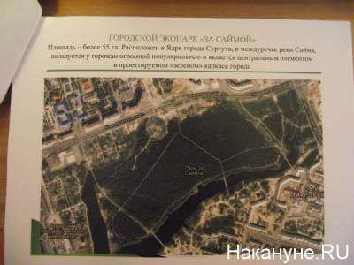 Сургутский парк "За Саймой" остался на несколько дней без света - nakanune.ru