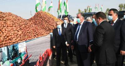 Эмомали Рахмон - Президент посетил выставку сельхозпродукции и принял участие в праздновании «Иди Мехргон» - dialog.tj - Таджикистан - район Гафуровский