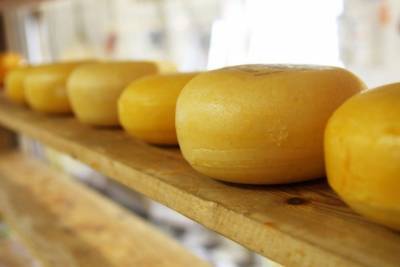 Конкурировать все сложнее: в Украине импорт сыра в 10 раз превзошел экспорт - enovosty.com - Украина