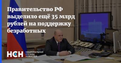 Михаил Мишустин - Правительство РФ выделило ещё 35 млрд рублей на поддержку безработных - nsn.fm - Россия