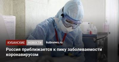 Наталья Пшеничная - Россия приближается к пику заболеваемости коронавирусом - kubnews.ru - Россия