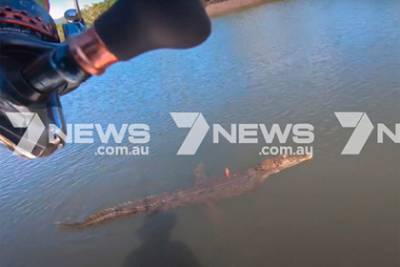 Рыбак три минуты боролся с пойманным на удочку крокодилом - lenta.ru - Уганда - Australia - штат Квинсленд