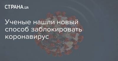 Ученые нашли новый способ заблокировать коронавирус - strana.ua - Украина