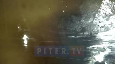 Видео: "Лада" свернула с проезжей части в сквер в Сестрорецке - piter.tv - Санкт-Петербург