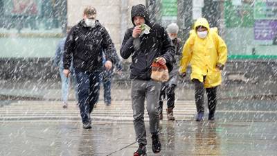 Дмитрий Киктев - В Гидрометцентре спрогнозировали снег в столичном регионе - iz.ru - Москва - Россия - Израиль