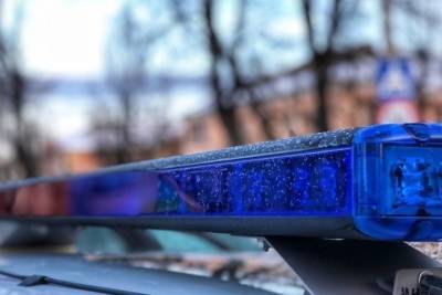 Пьяная поездка на машине в деревню за сигаретами закончилась смертью в Тверской области - tver.mk.ru - Тверская обл.