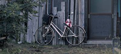 Молодой человек продал прохожему чужой велосипед за 250 рублей в поселке Карелии - stolicaonego.ru - район Пудожский - республика Карелия