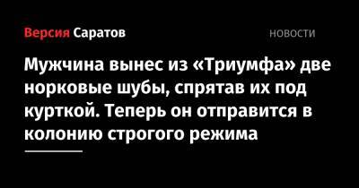 Владимир Зайцев - Мужчина вынес из «Триумфа» две норковые шубы, спрятав их под курткой. Теперь он отправится в колонию строгого режима - nversia.ru - Пенза