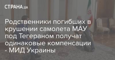 Евгений Енин - Родственники погибших в крушении самолета МАУ под Тегераном получат одинаковые компенсации - МИД Украины - strana.ua - Украина - Иран - Тегеран