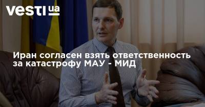 Евгений Енин - Иран согласен взять ответственность за катастрофу МАУ - МИД - vesti.ua - Украина - Киев - Иран