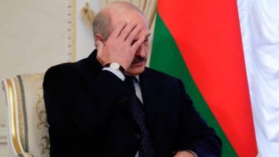 Александр Лукашенко - Виктор Лукашенко - Великобритания и Канада вводят санкции в отношении Александра Лукашенко и семи белорусских чиновников - apral.ru - Англия - Канада