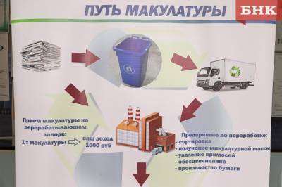 В Коми ждут участников на экоконкурс «Сдай макулатуру» - bnkomi.ru - Россия - респ. Коми - Сыктывкар