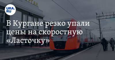 В Кургане резко упали цены на скоростную «Ласточку» - ura.news - Екатеринбург - Курган