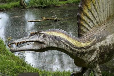 Ученые узнали, как морские динозавры делили добычу - Cursorinfo: главные новости Израиля - cursorinfo.co.il - Англия - Израиль