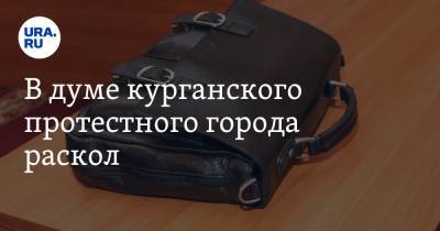 В думе курганского протестного города раскол - ura.news - Россия - Курганская обл. - Шадринск