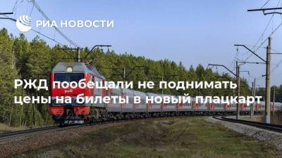 Дмитрий Пегов - РЖД пообещали не поднимать цены на билеты в новый плацкарт - smartmoney.one - Россия