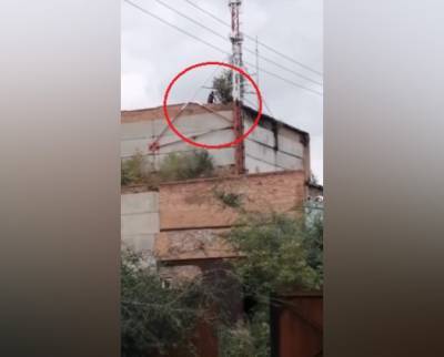 В Кузбассе опасные игры детей на крыше заброшенного здания сняли на видео - gazeta.a42.ru - Междуреченск - Белово