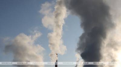 Ольга Богачева - Загрязняющие выбросы в атмосферу в Витебской области с начала года сократились на 1,6 тыс. т - belta.by - Витебск