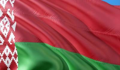 Александр Лукашенко - Эммануэль Макрон - Беларусь готовит ответные санкции против ЕС - mirnov.ru - Белоруссия - Франция - Минск - Брюссель - Ес