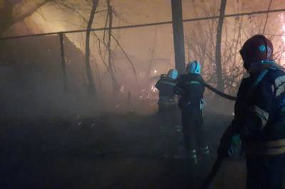 В ОРЛО отреагировали на обвинения относительно распространения лесных пожаров в Луганской области - vkcyprus.com - Украина - Луганская обл. - ЛНР