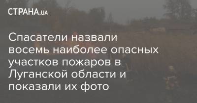 Спасатели назвали восемь наиболее опасных участков пожаров в Луганской области и показали их фото - strana.ua - Луганская обл. - Гсчс