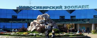 Новосибирские садоводы передали зоопарку 17 тонн кормов для животных - runews24.ru - Новосибирск