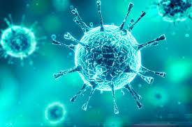 Пандемия предупреждает! Профилактика коронавирусной инфекции - news.bigmir.net