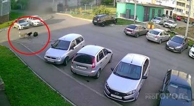 В Новочебоксарске собаки повалили и покусали женщину - pg21.ru - Новочебоксарск
