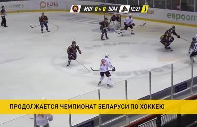 Чемпионат Беларуси по хоккею: «Неман» и «Гомель» сыграли вничью - ont.by - Белоруссия - Гомель