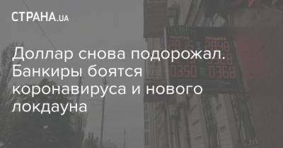 Доллар снова подорожал. Банкиры боятся коронавируса и нового локдауна - strana.ua