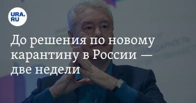 Сергей Собянин - Владимир Андреев - До решения по новому карантину в России — две недели - ura.news - Москва - Россия