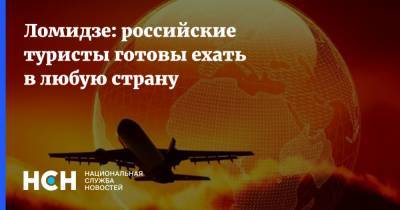 Дмитрий Медведев - Майя Ломидзе - Ломидзе: российские туристы готовы ехать в любую страну - nsn.fm - Россия