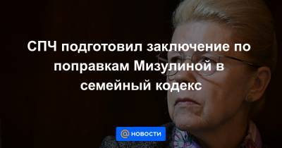 СПЧ подготовил заключение по поправкам Мизулиной в семейный кодекс - news.mail.ru