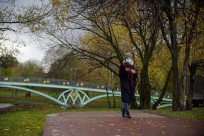 Татьяна Голикова - Повторное введение режима нерабочих недель в России исключили власти - live24.ru - Москва - Россия