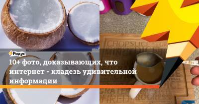 10+ фото, доказывающих, что интернет - кладезь удивительной информации - ridus.ru