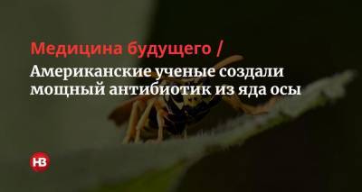 Американские ученые создали мощный антибиотик из яда осы - nv.ua - США - шт.Пенсильвания