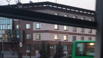 В Тюмени лошадей выгуливают напротив здания ФСБ - nashgorod.ru - Тюмень