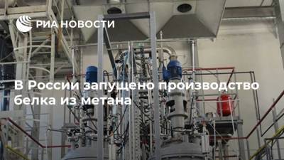 В России запущено производство белка из метана - ria.ru - Москва - Россия