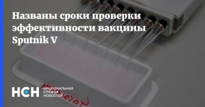 На пресс-конференции НСН назвали сроки проверки эффективности вакцины Sputnik V - nsn.fm - Россия