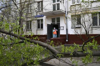 Владимир Болибок - Вирусолог назвал заразные из-за коронавируса предметы в доме - lenta.ru