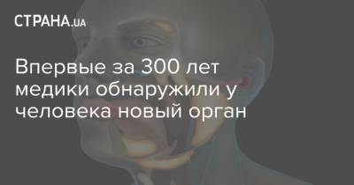 Впервые за 300 лет медики обнаружили у человека новый орган - strana.ua