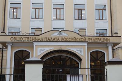 В Общественной палате предложили освободить от НДС организации, помогающие НКО во время пандемии - pnp.ru - Россия